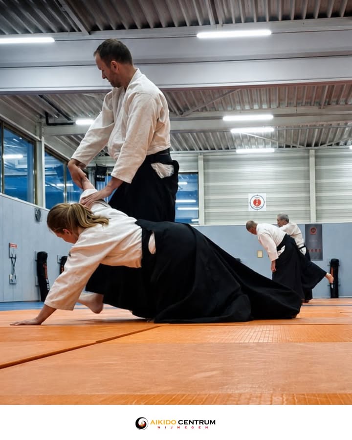 Aikido Centrum Nijmegen