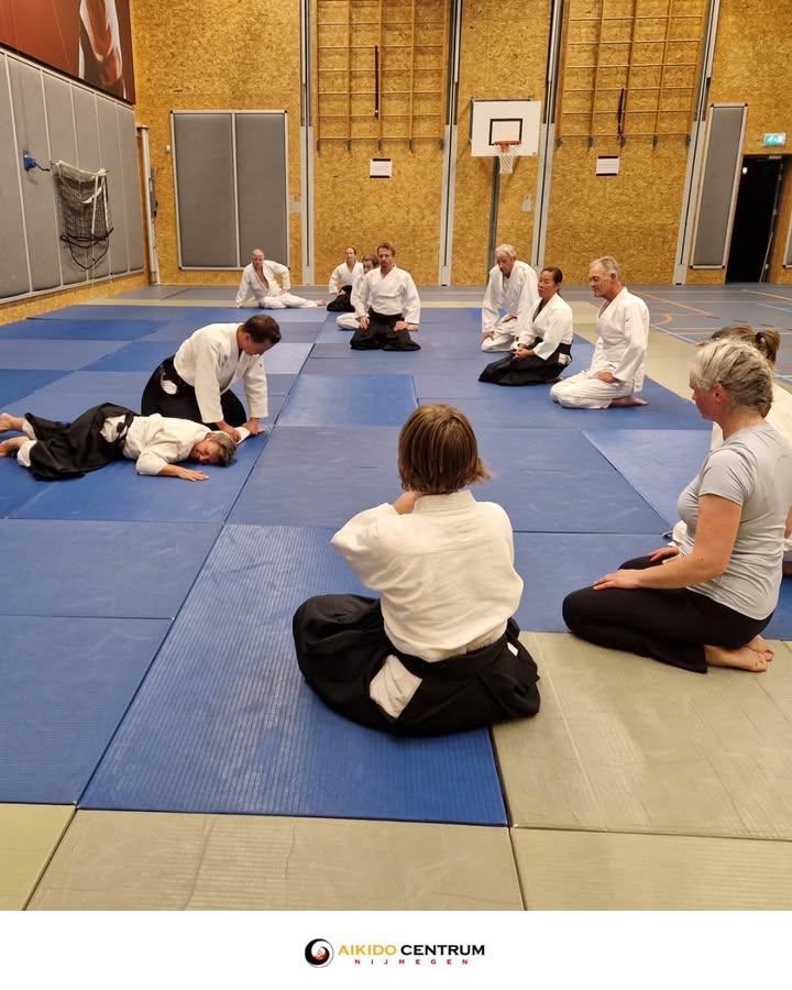 Aikido Centrum Nijmegen